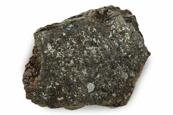 Polished Vaca Muerta Mesosiderite Meteorite ( g) - Chile #246987
